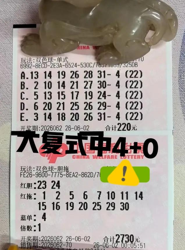 真的遗憾！大佬追了很多期09，结果没打的时候就开出来了，好在大复式中了4+0，最