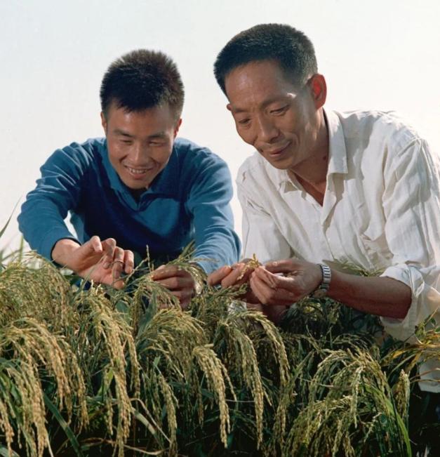 袁老为何值得举国致敬？一生只念苍生温饱，平凡一生却伟大至极。提起袁隆平，相信