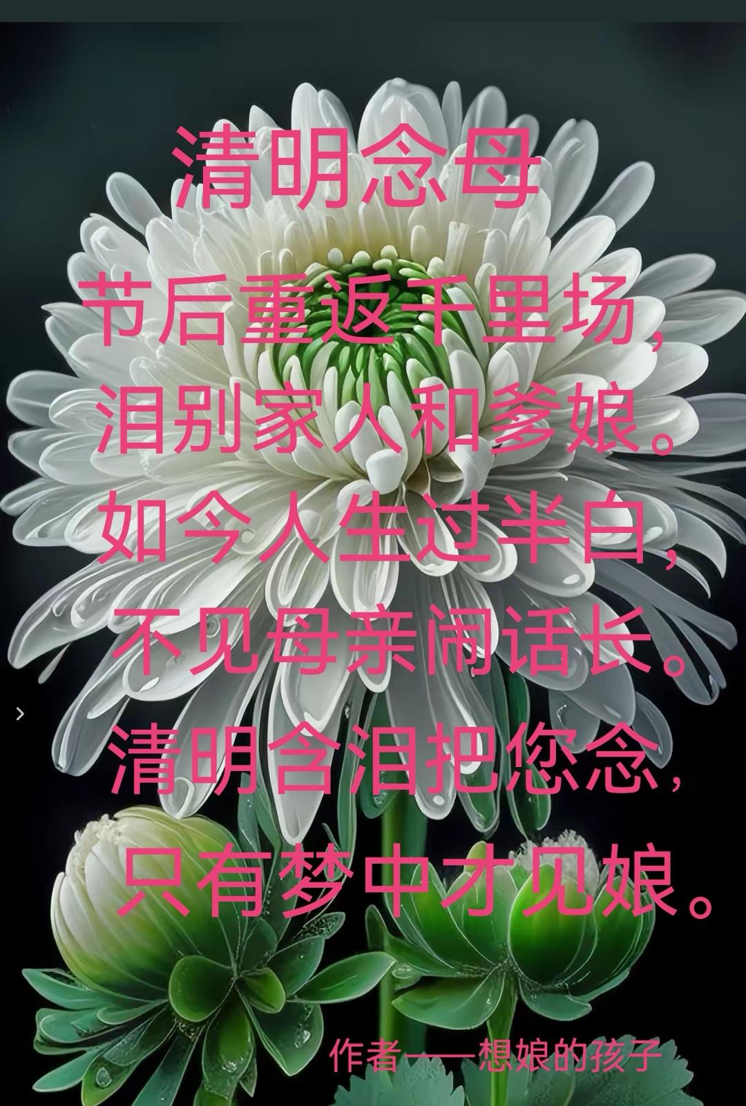清明念母节后重返千里场，​泪别家人和爹娘。​如今人生过半百，​不见母亲闹