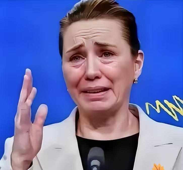 丹麦政府痛恨中国丹麦的外交大臣拉斯穆森:过去不允许中国对格陵兰岛投资，现在不