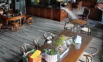 巨型鱼缸深夜爆裂，30万名贵龙鱼一夜变成“天价鱼头汤”。很多人喜欢养鱼解压，