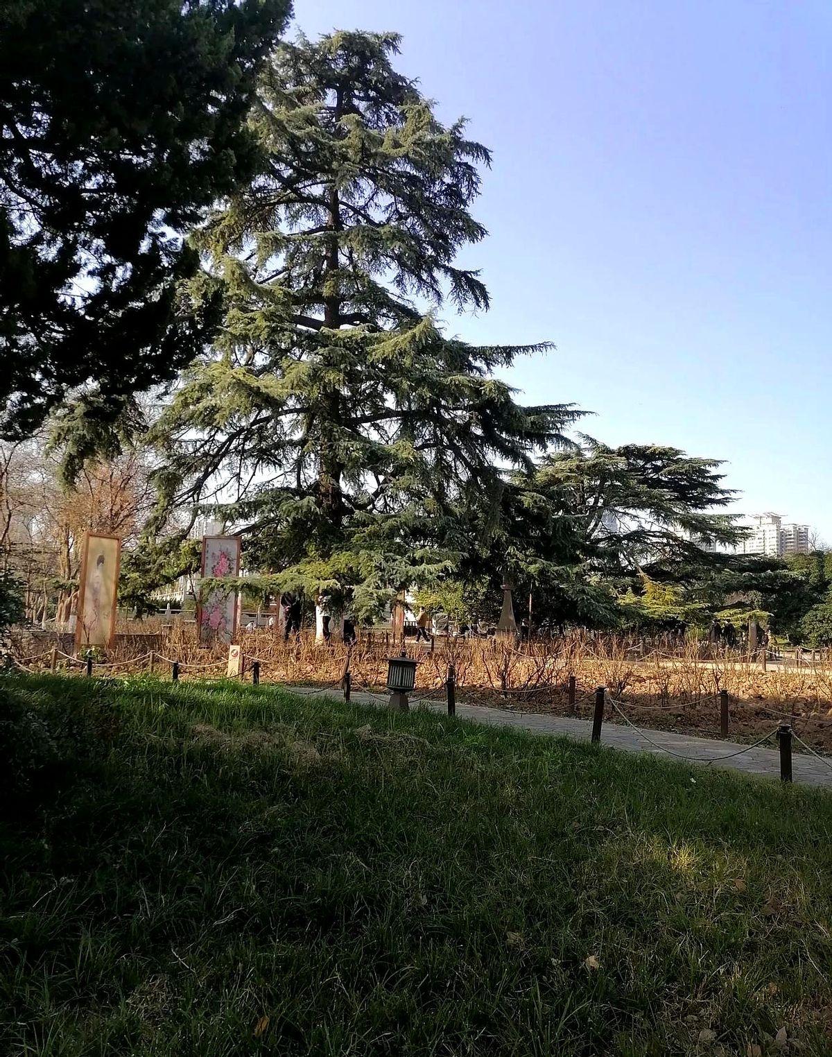 今年的考研调剂们要注意了。天啊！教育部这招“盲选公平化”看似暖心，实则暗藏玄