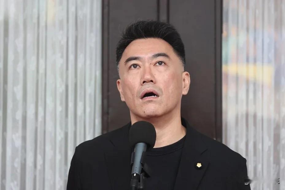 马英九基金会风波扩大国民党团：不方便评论针对马英九基金会昨再控萧旭岑和王光