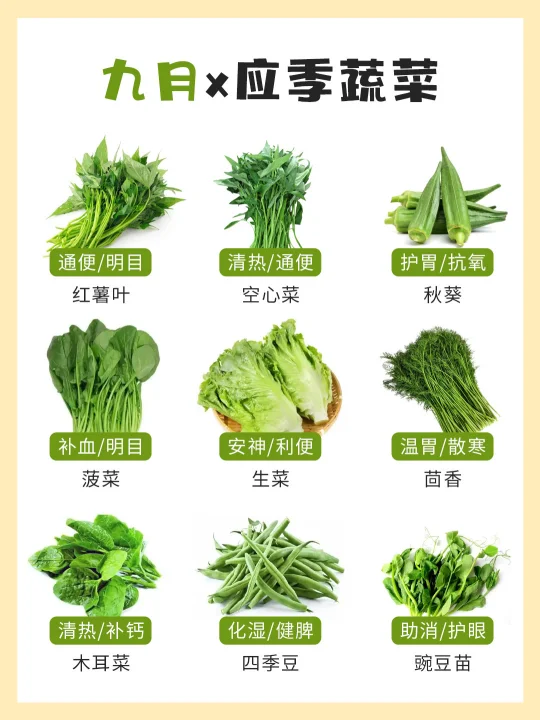 🌿九月时令蔬菜大合集！吃蔬菜首选应季！