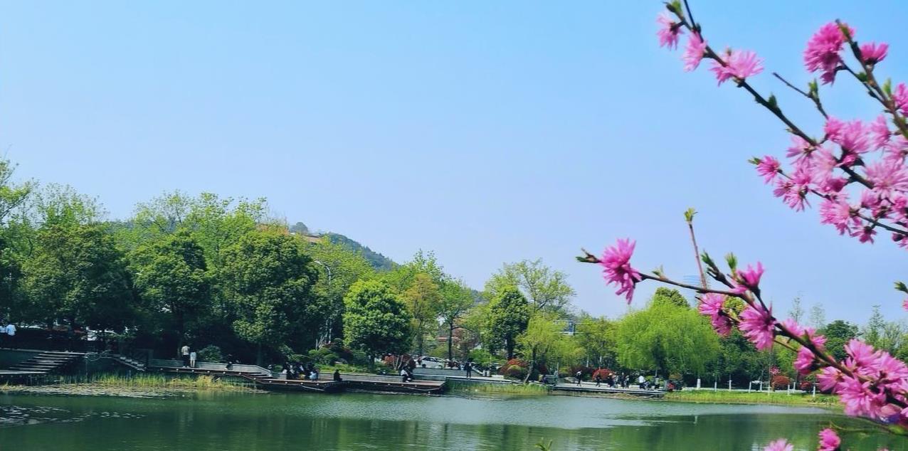 在单位人到中年会自动明白一点；不要和周围人谈及尊重或者风骨；周围的人只会用异