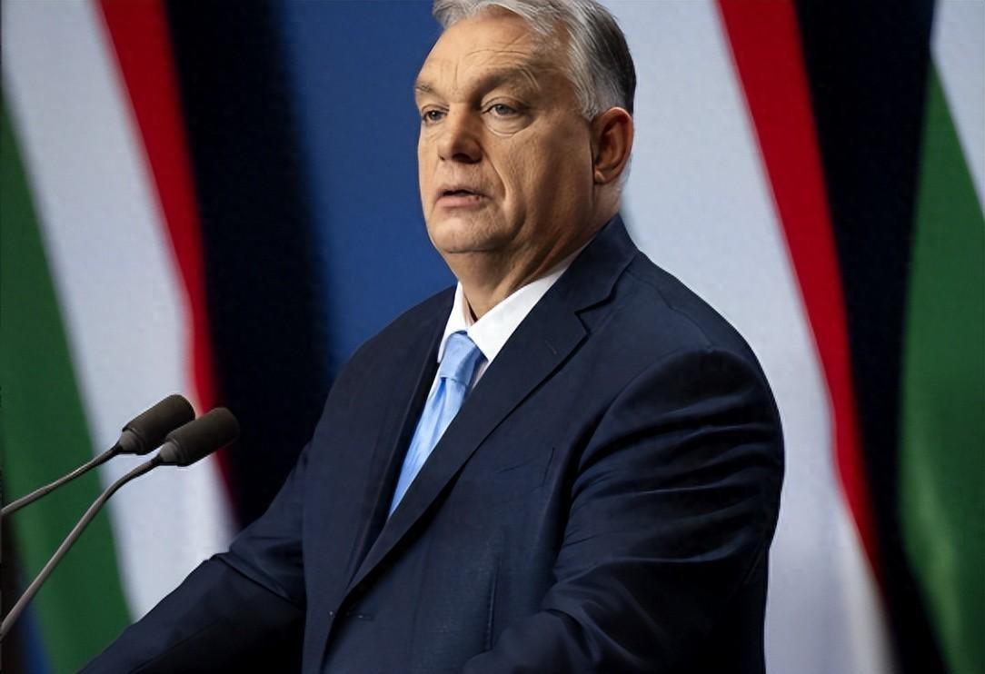 谁能想到，普京最铁的兄弟、特朗普亲自下场力保的欧洲“硬茬子”，竟然在不到48小时