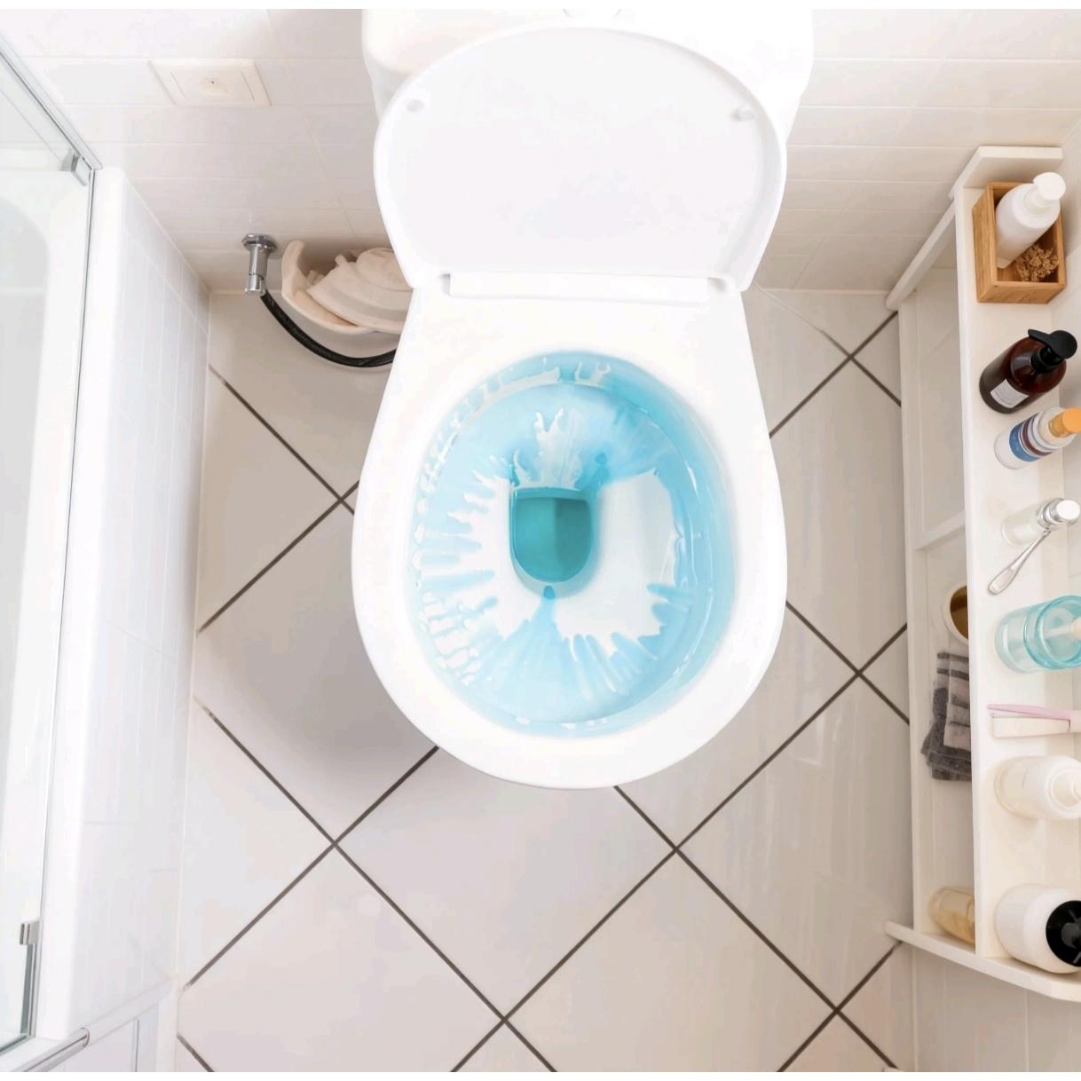 酒店马桶怎么一直亮闪闪的？保洁阿姨说的两个平价好招，简单又实用！自己刷马