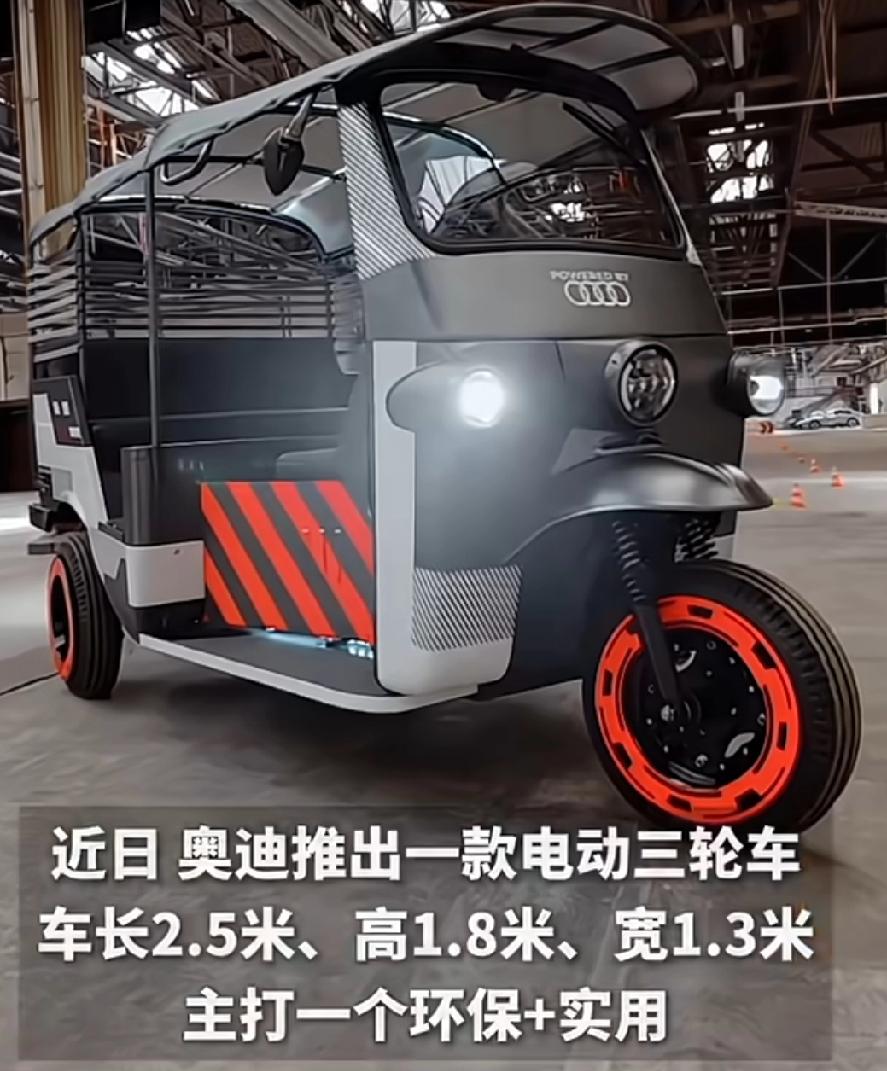 这还买什么雅迪，直接攒钱买奥迪，虽然是三轮，开出去也有面子啊！奥迪要是有这款