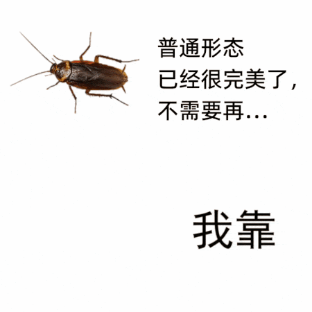 我靠，吓死你们
