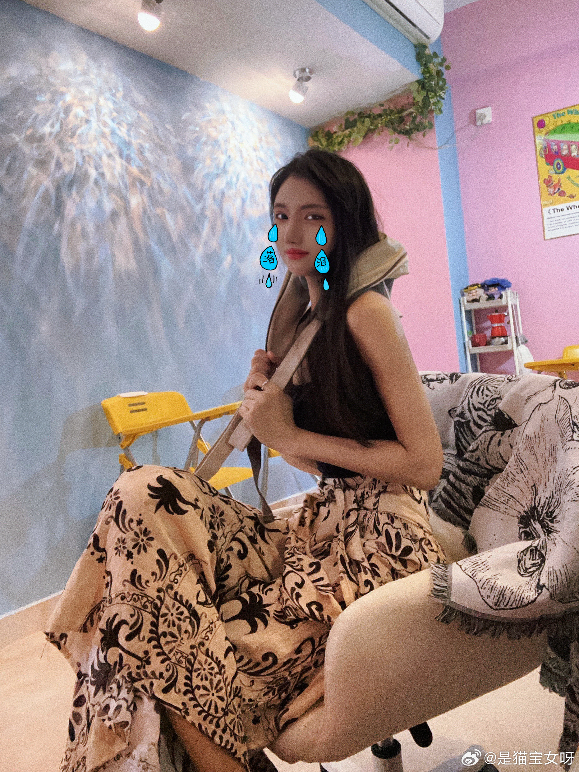 我家猫咪早早就知道我未来的家是灰色白色系吧，他们和我家好配三亚