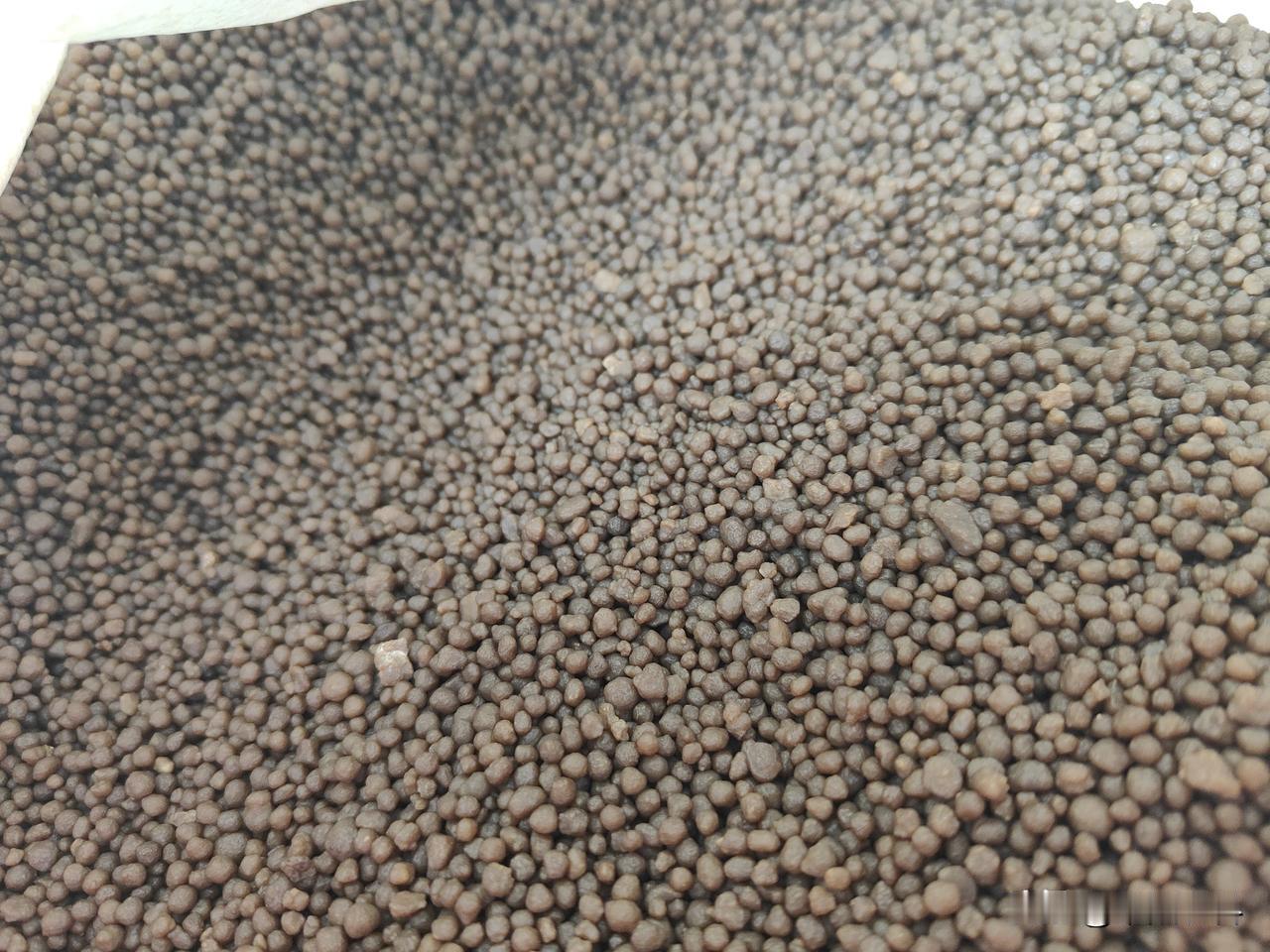 晒图笔记大赛小麦第三遍一喷三防究竟要不要打？有人认为小麦即将成熟，重大病虫害都已