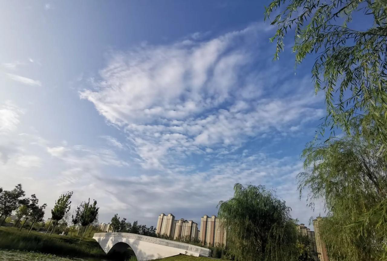 天边的云彩，像什么？