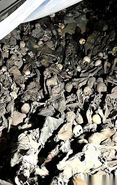 2200多具骸骨，就那么悄无声息地，在广东揭阳的深山里躺了几十年。这事说起来