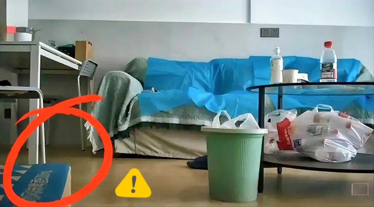 细心网友一眼看穿！拍摄工具藏在书堆后，看着隐蔽实则全是漏洞！现在大家都刷手机