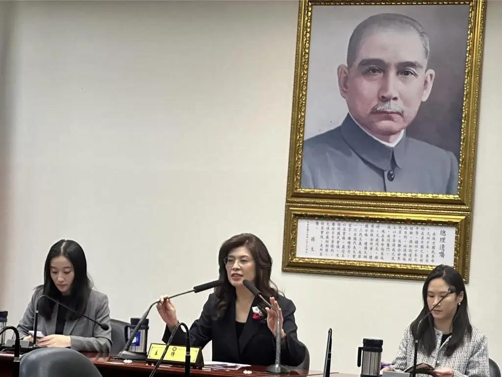 郑丽文赴美登机前说的这句话，总感觉十分不对劲。6月1日下午，郑丽文在行前记者