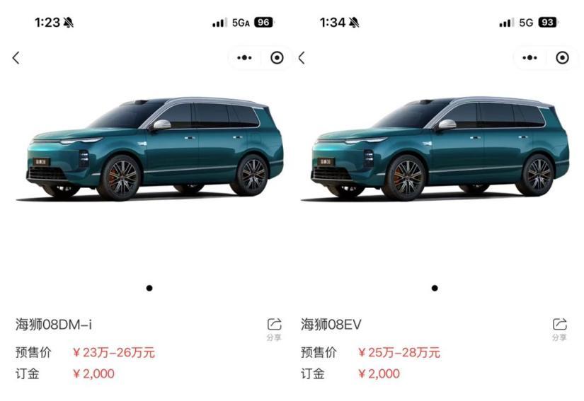 海狮08盲订火爆，旗舰实力大不一样“小程序卡了十分钟才进去，我以为是自己网不