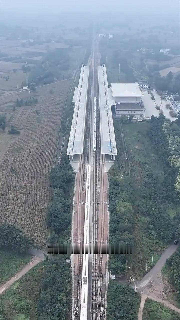 这就是我国最荒凉的高铁站，整座高铁站就建在一望无际的麦田地里，周围除了麦田地和玉