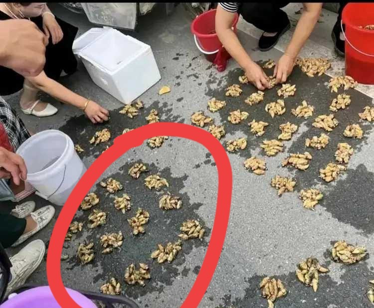 就北方人爱吃，快吃绝了。。