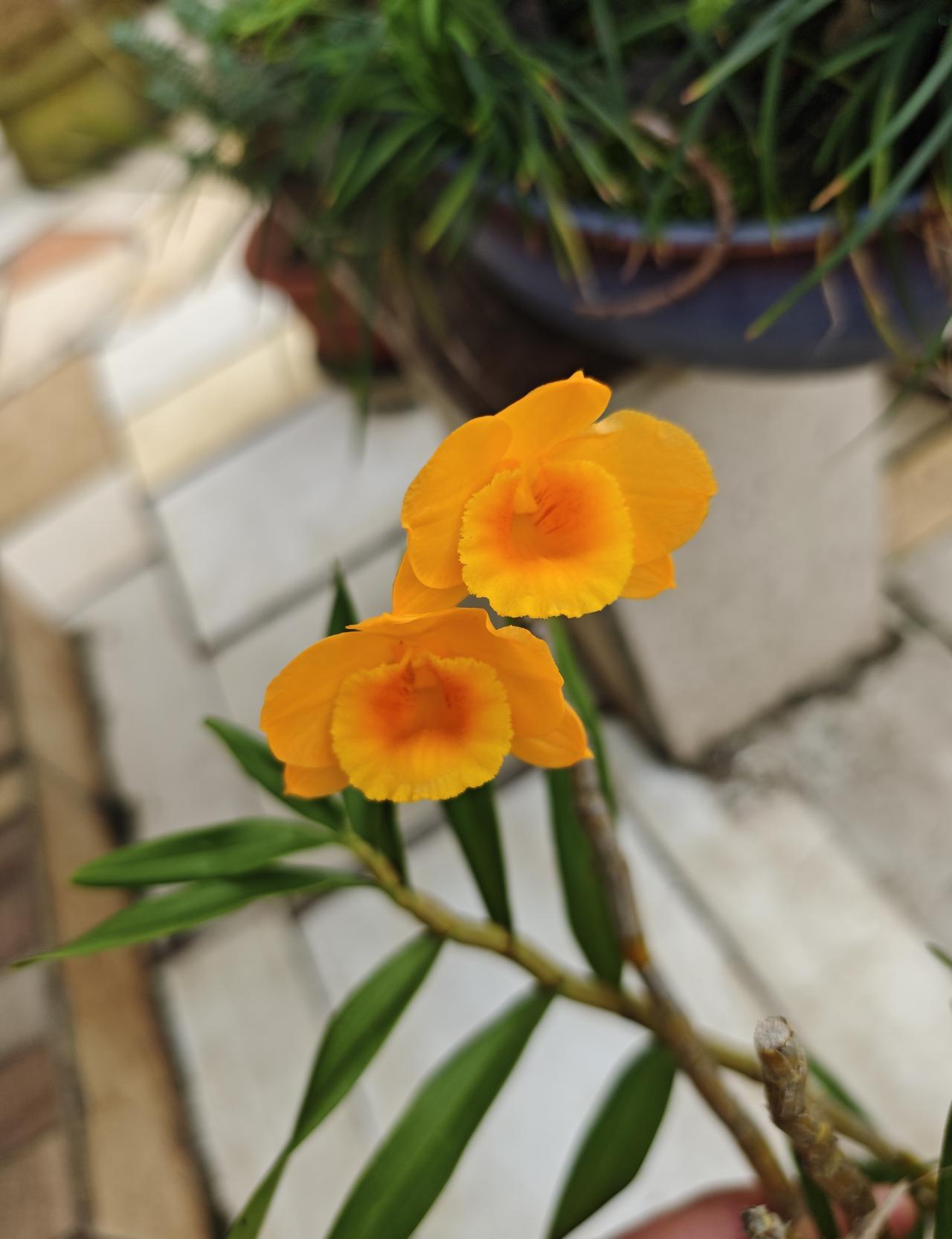 《甄嬛传》藏了12年的刀子，今天才扎到你身上。剧组突然放出“滴血验亲”原始版本