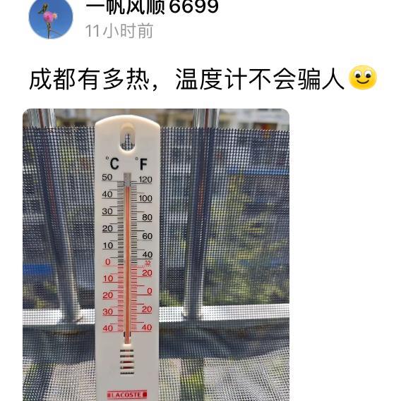 成都到底有多热，咱们外地人的感知差太远了！一位成都网友上午在阳台下测，离最高格差