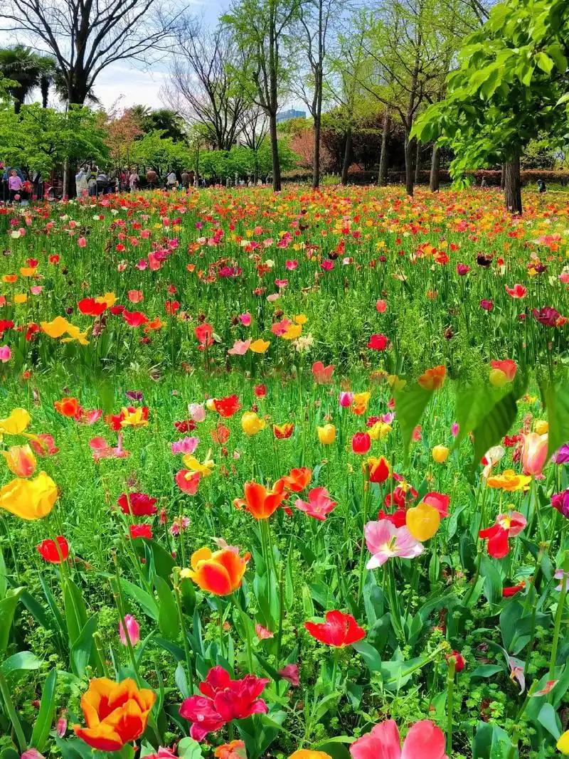 难过之时抱抱自己，你已经做得很出色了人这一辈子，谁还没个难过、委屈、撑不住