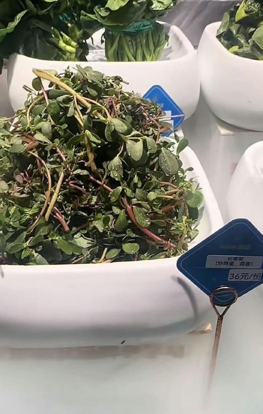 这——这是认真的吗？有认识这是什么菜的吗？有没吃过的吗？