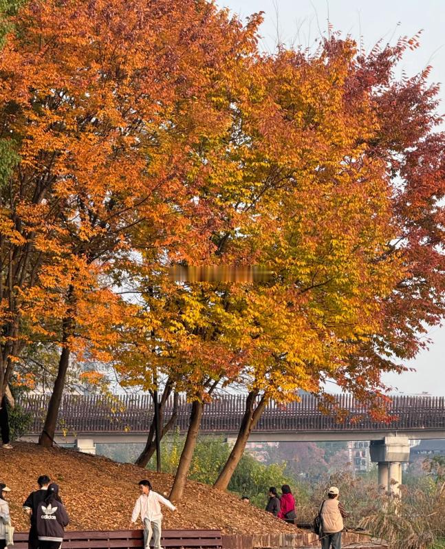 无事不出门，兰草栽一盆。等待它开花，不愿见俗人。