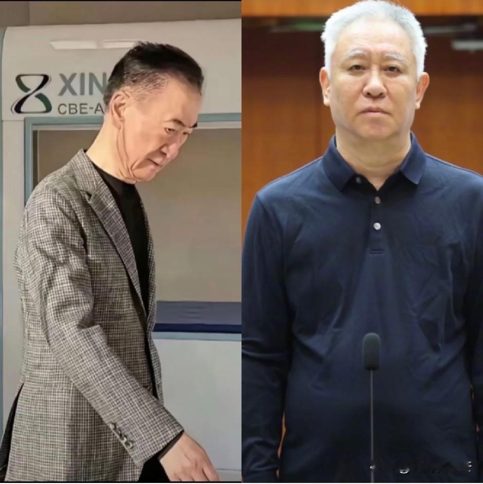 王兴兴看到这两位现在的样子，会不会也担心自己的未来？王健林和许家印，曾经都登顶