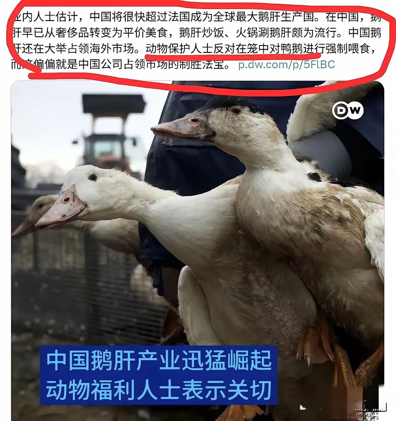 某些组织只是收割工具，西方政府无法做的恶，转手让这些组织去实施，政府在背后