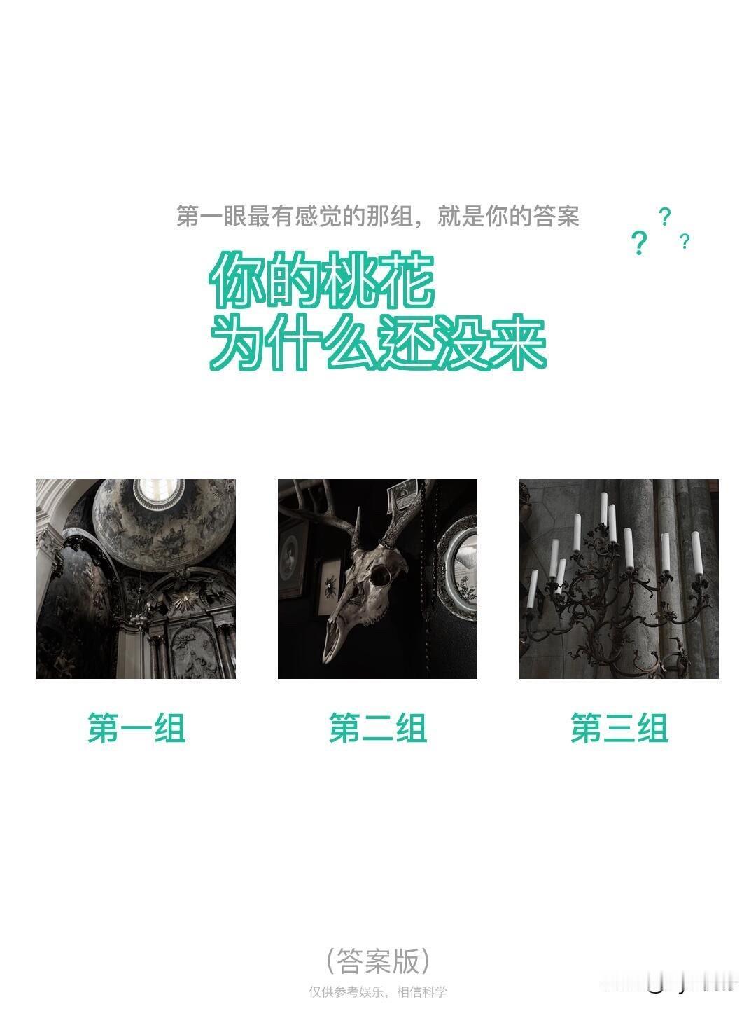 ?你的桃花??为什么还没来