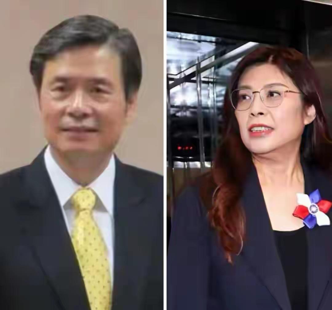 国民党内斗彻底炸锅！“亲美派”围攻郑丽文，原来都被马英九骗了​郑丽文当选国民党