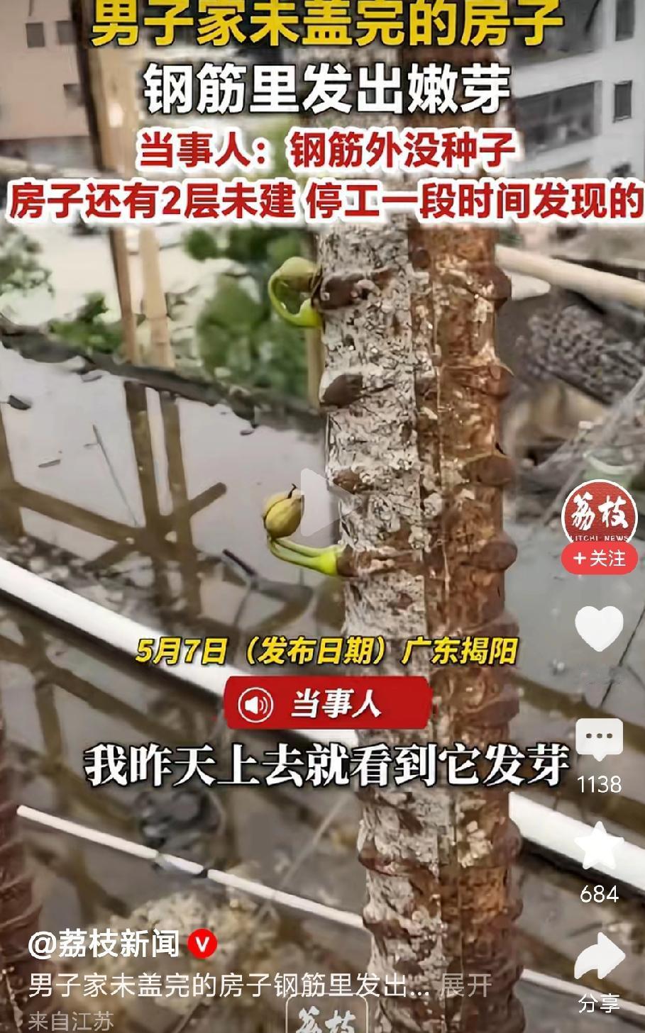 你见过铁树开花吗？下面就见到了[大笑]