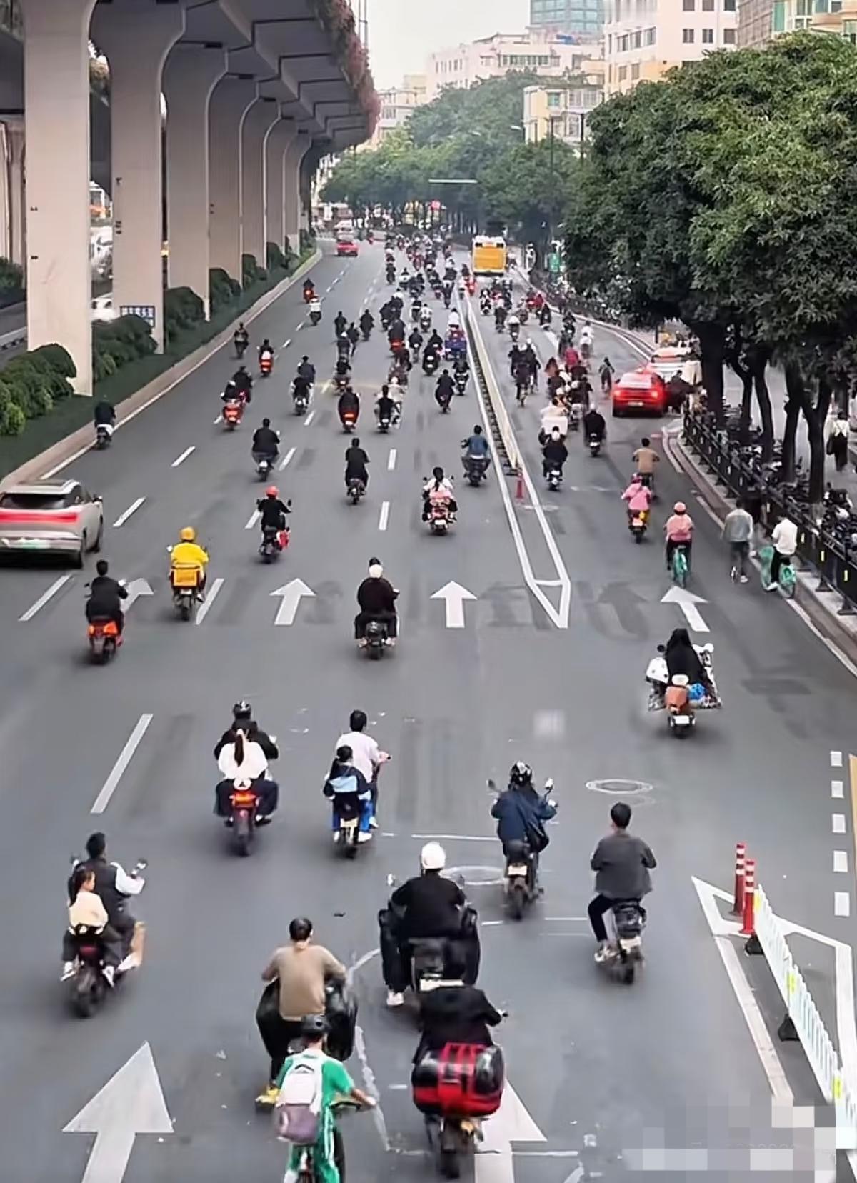 现在很多城市的交通状况就是这么乱！电动自行车就没人管。你把他们当机动车吧，他