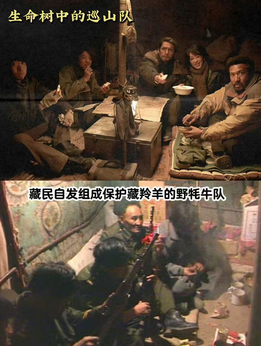 生命树看看澄清，有原型存在，这里面的盗猎现场和遗骸，保护站和巡山队现实里都真实存