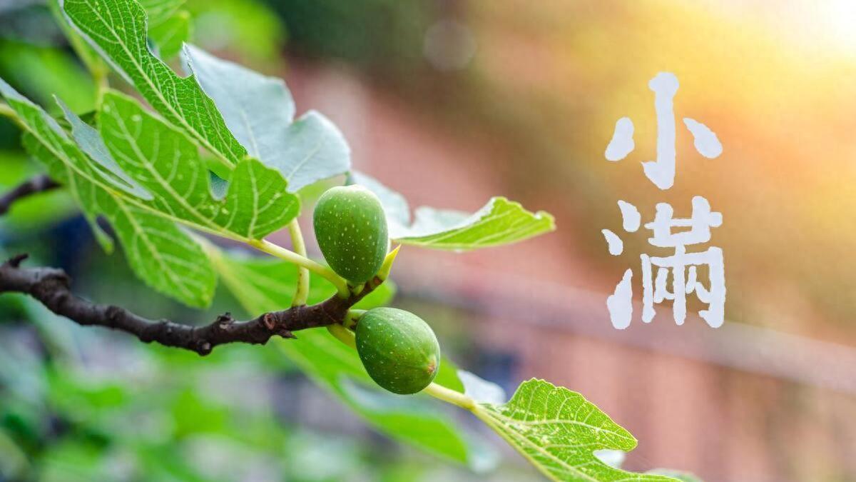 5月21日小满节,今年的小满节不一般,有两大特点,早看早知道?