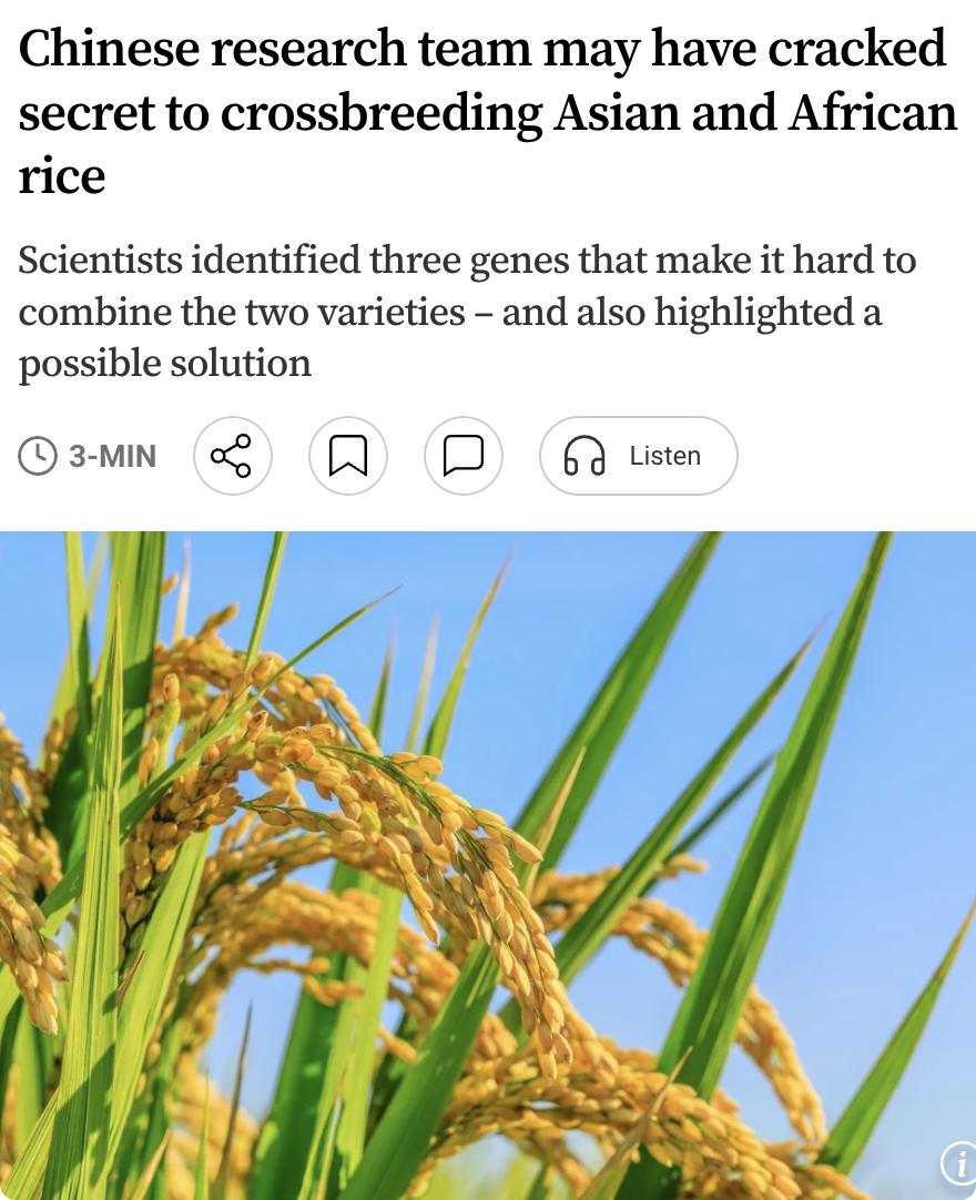 外媒：中国科学家发现了阻碍非洲稻与亚洲稻杂交的遗传屏障，为培育高产杂交水稻提供了