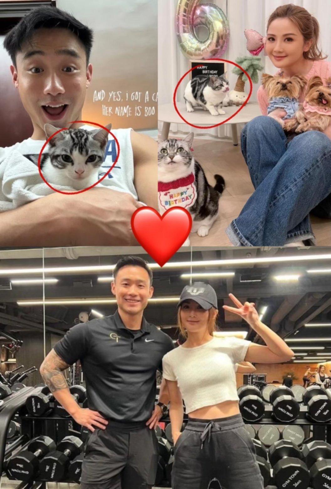 蔡卓妍和老公通过关智斌介绍认识果然这个时候总少不了要提到前任蔡卓妍郑中基