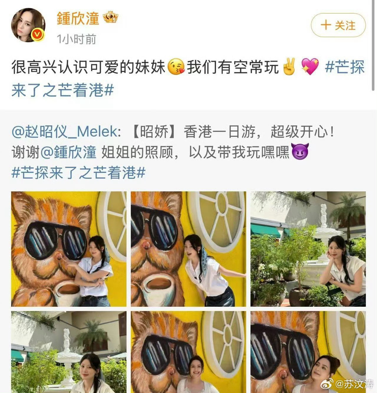 阿娇赵昭仪怎么认识的《芒着港》成最强红娘！赵昭仪阿娇从陌生到同游香港，东北方言