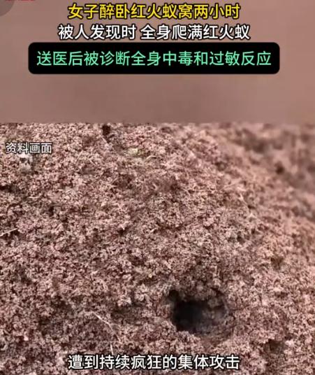 “醉酒女子被红火蚁捡尸！”7月15日AHTV第一时间报道，福建泉州，一女子喝酒喝