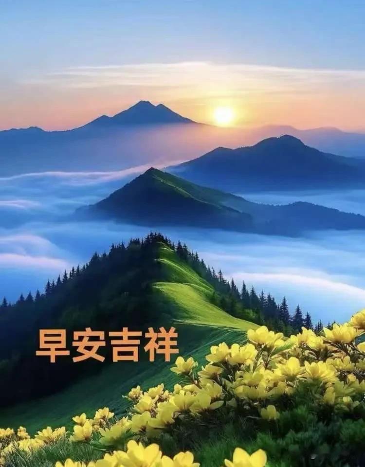 褪去昨夜疲惫，迎着朝阳出发，愿所有温柔与好运奔向你。