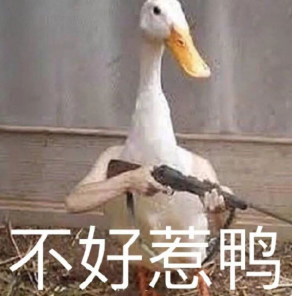 鸭子表情包好好用啊