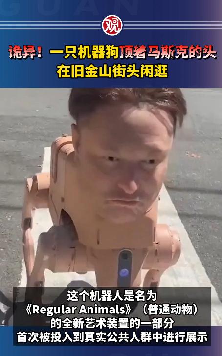 谁能想到啊！旧金山最近彻底被一只机器狗刷屏了，4月9号那天，南滩街头突然出现一个