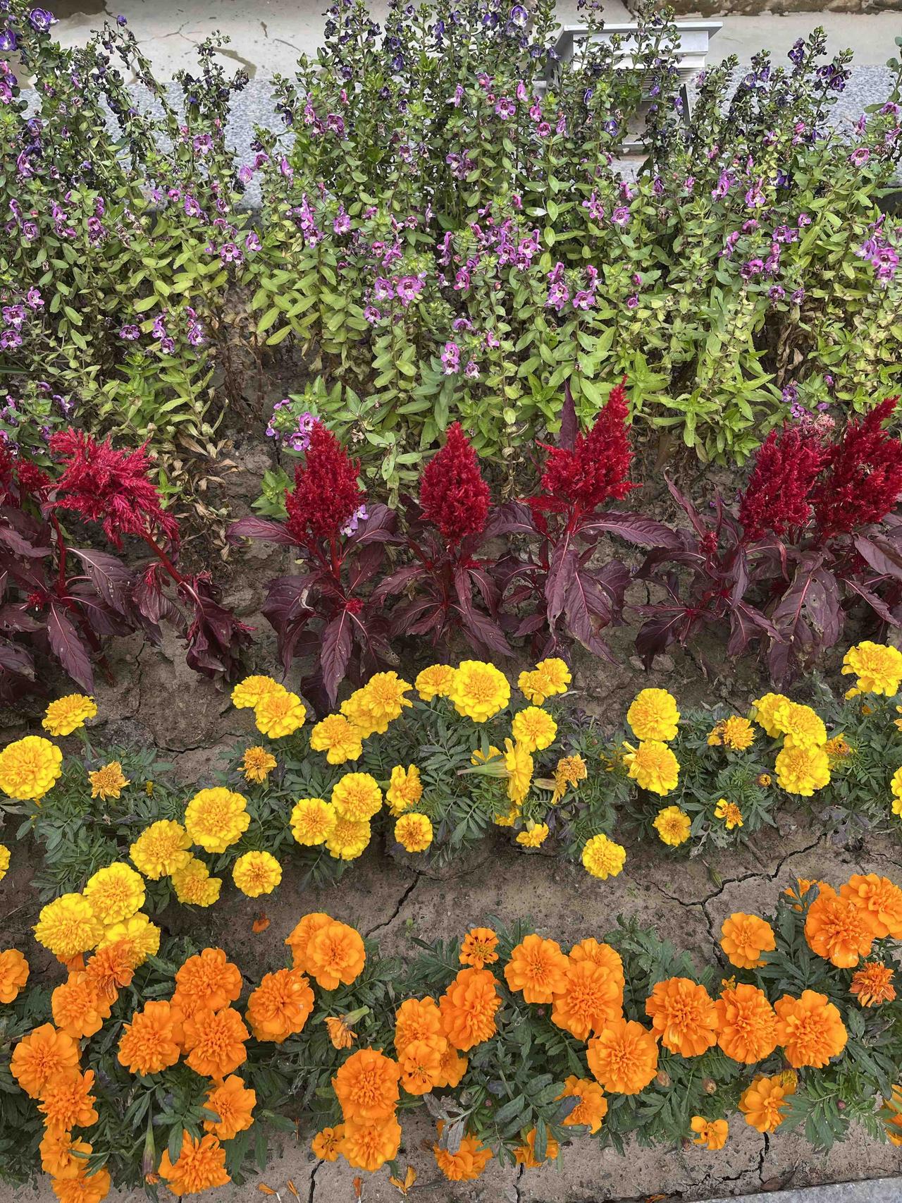 猜猜当前二手房市场隐藏的几个真相（22）？1、房价出现恐慌性下跌？错！