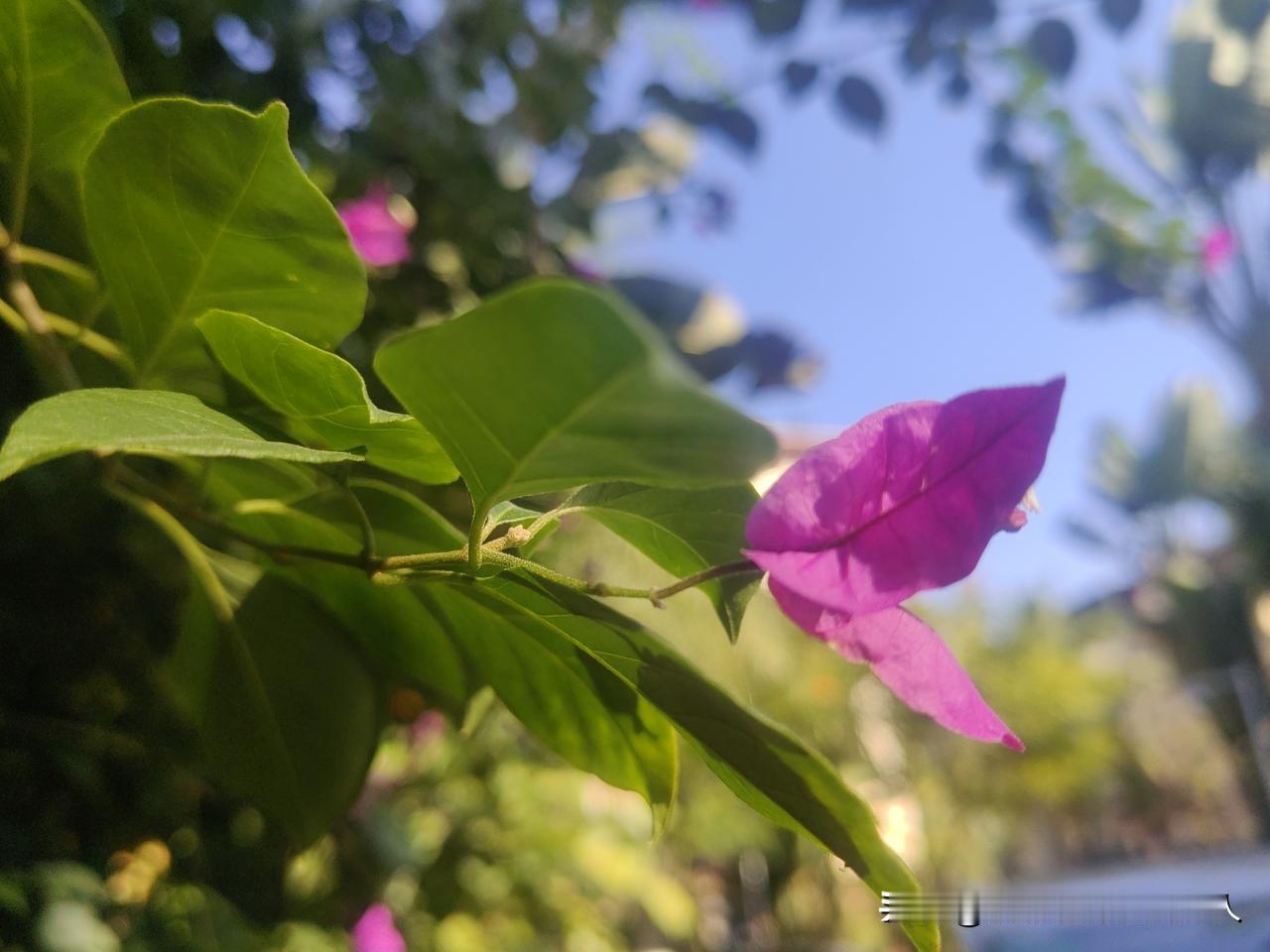 昨天弟弟来我家借钱买车，张口就是5万。我在微信上给他转了1万块钱，对他说：这