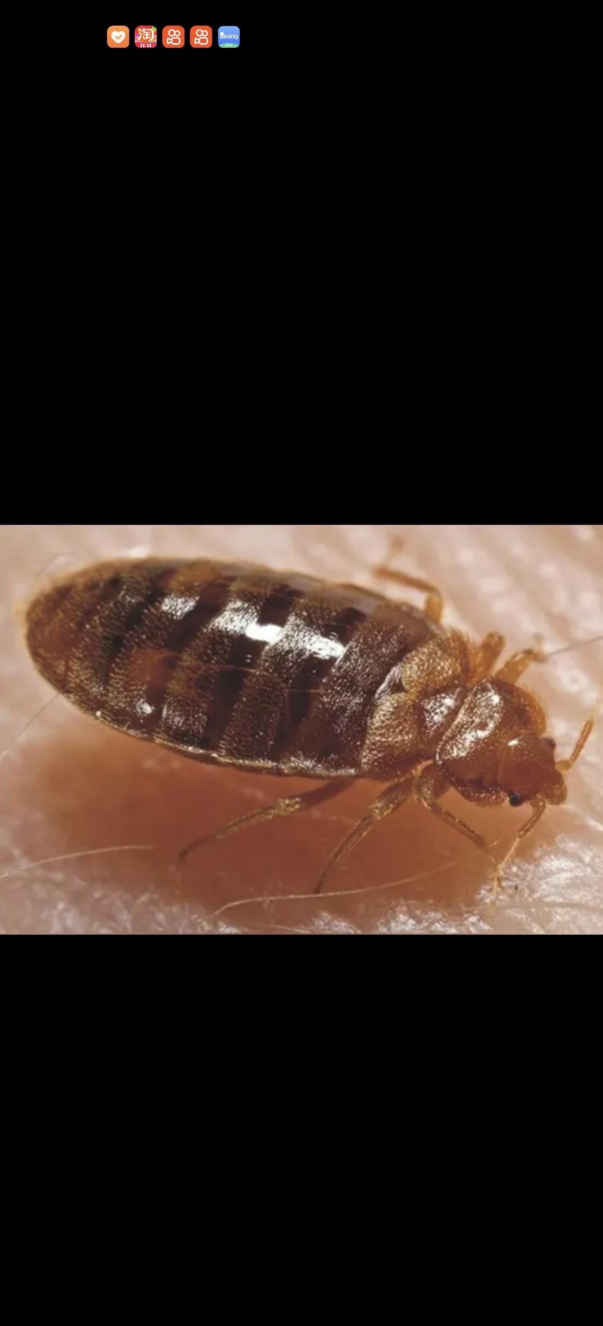 救命，宿舍发现了这种虫子，咬了好多人，有的花了五六百也治不好。这对我们家政公司来