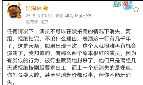 编剧汪海林说赵露思以后应该很难再有机会演戏了！汪海林说在任何情况下，演员都不