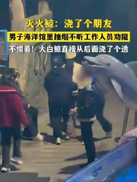 大连海洋馆白鲸“执法”火了！男子池边抽烟，工作人员劝不听，下一秒白鲸“石榴”直接