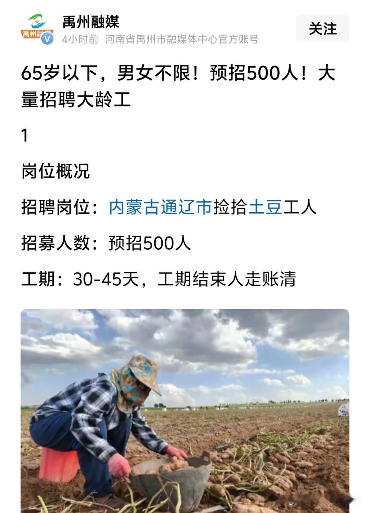 65岁以下，男女不限！预招500人！大量招聘大龄工8月4日禹州人社公众号挂出一