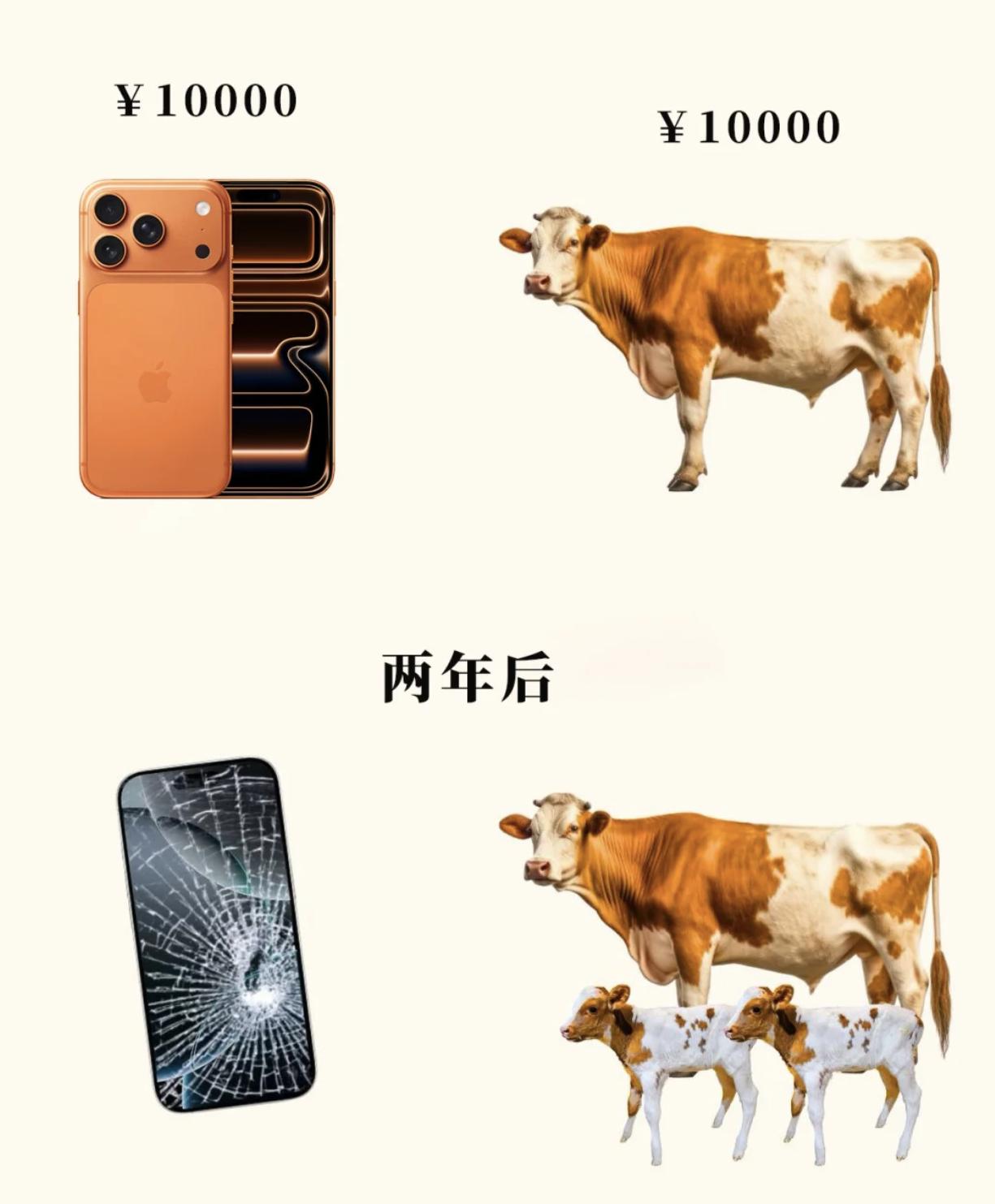 同样是10000块钱，买iPhone17还是买一头牛？这种对比毫无意义，除了