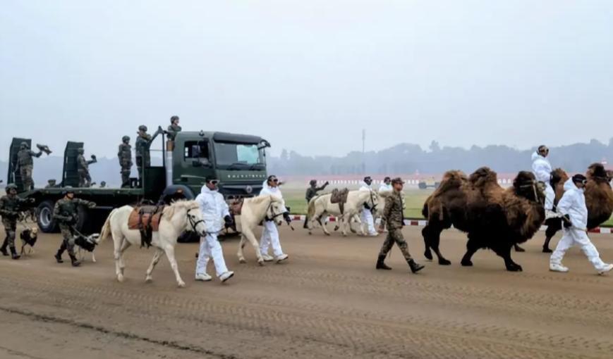 动物方阵加摩托车叠罗汉，印度阅兵秀绝技，表演门槛相当高根据媒体报道，印度正在进